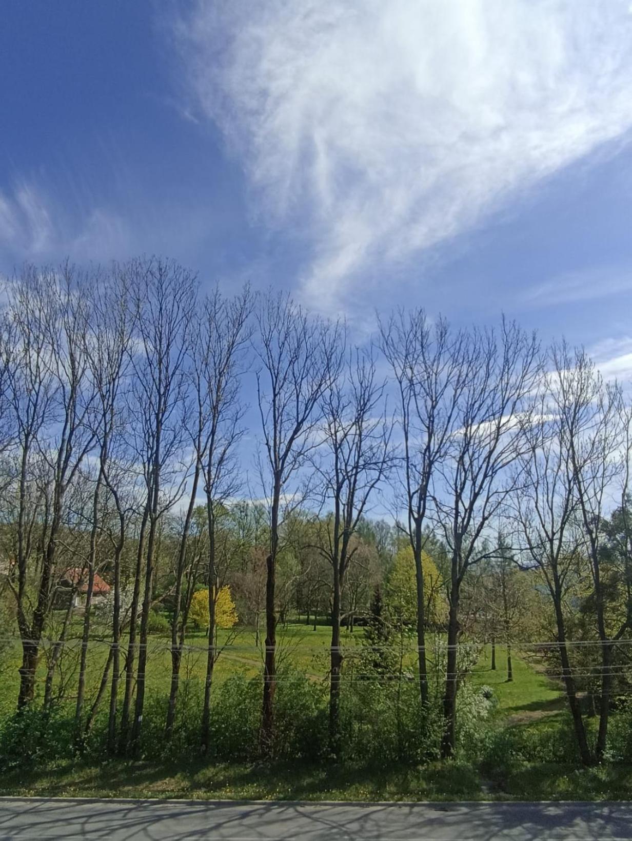 Apartament Aleja Lipowa Gorki Wielkie 외부 사진